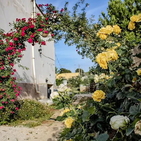 Soffio Di Sale * Marsala